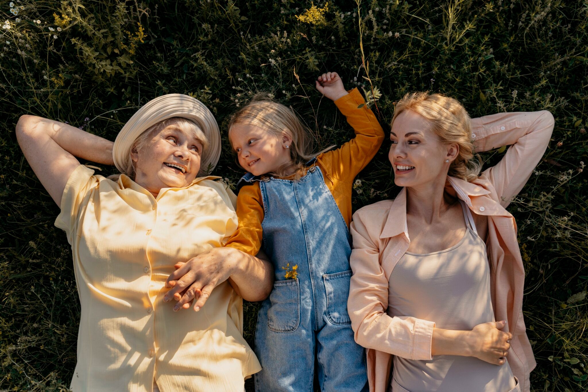 Transmission de patrimoine